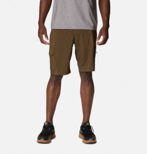 Brown Men Columbia Silver Ridge™ Utility Cargo Walking Shorts | 8860670