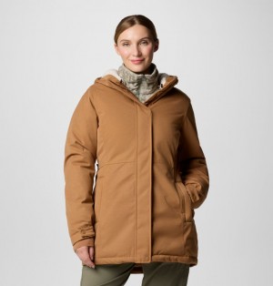 Brown Women Columbia Alameda Ridge™ Insulated Waterproof Parka | 69862109