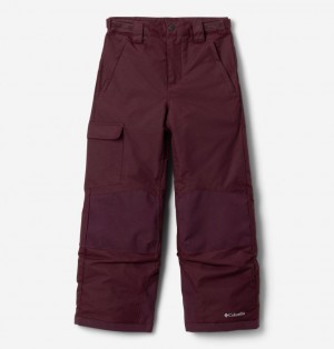 Burgundy Boys's Columbia Bugaboo™ III Waterproof Ski Pants | 46213390