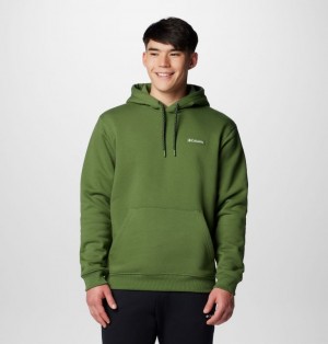 Green Men Columbia Marble Canyon™ Heavyweight Hoodie | 32987881