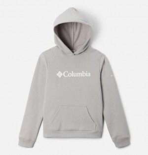 Grey Boys's Columbia Trek™ Hoodie | 38512466