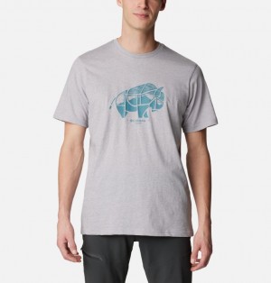 Grey Men Columbia Rockaway River™ Outdoor T Shirts | 15656634