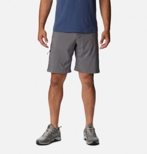 Grey Men Columbia Silver Ridge™ Utility Walking Shorts | 22947543