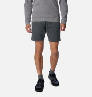 Grey Men Columbia Trek™ Fleece Shorts | 75990145