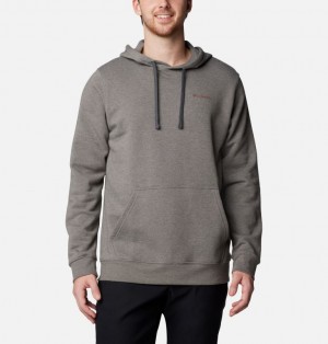 Grey Men Columbia Trek™ Graphic Hoodie | 16993802