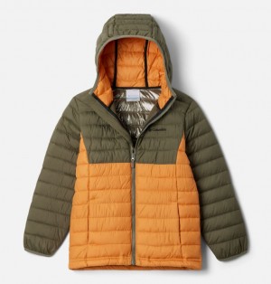 Olive Boys's Columbia Powder Lite™ II Hooded Insulated Jackets | 73423120