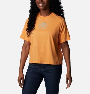 Orange Women Columbia North Cascades™ Relaxed T Shirts | 98568870