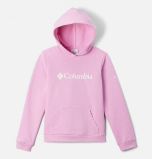 Pink Boys's Columbia Trek™ Hoodie | 22665732